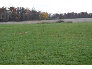 Property photo 75 - 127 Acres Offered in 8 Tracts - Allen & Dekalb County Land